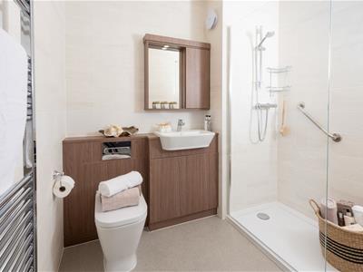 Picture 5